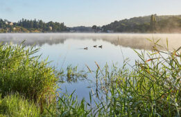 Le Lac du Duc_Morbihan_CréditAgricole_Fondation_PaysDeFrance